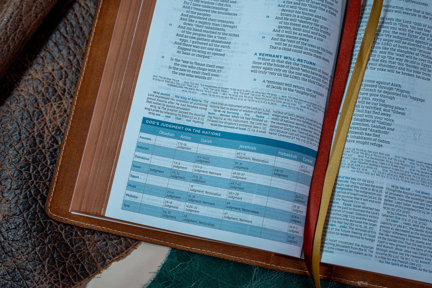 ESV MacArthur Study Bible - Premium Badalassi Leather - Full Grain Vegetable Tan